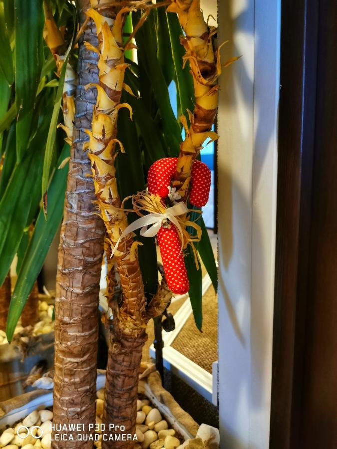Hotel Swiss Sjumen Eksteriør billede